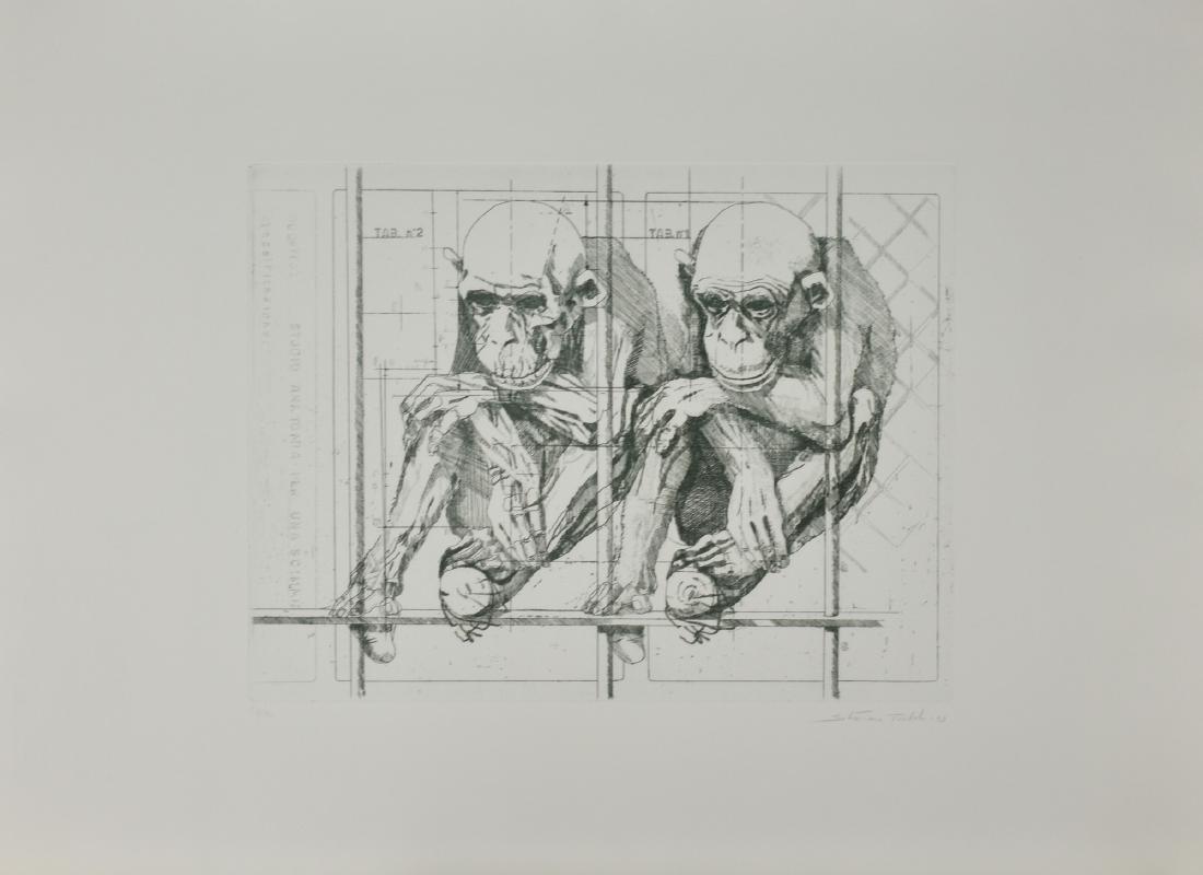 ANATOMIA DI UNA SCIMMIA (1 of 1)