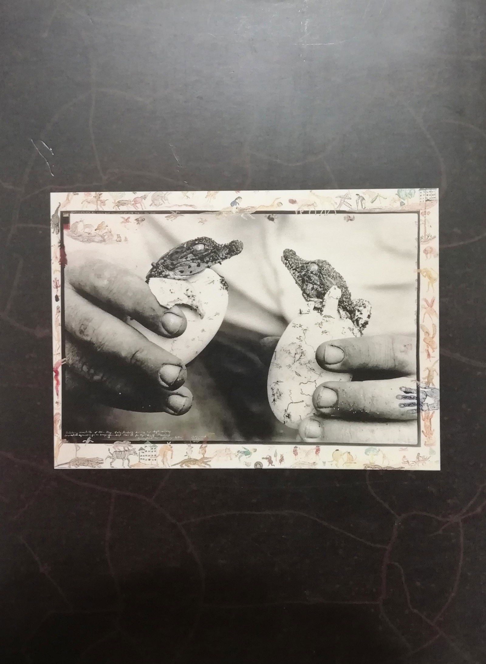 PETER BEARD. OLTRE LA FINE DEL MONDO volume autografato: PETER BEARD. OLTRE LA FINE DEL MONDO volume autografato dell'esposizione a cura di Peter T. Turney tenuta a Palazzo Reale, Sala delle Cariatidi di Milano, cm 27,5x20 edito da Grafiche Milani, Milano 1