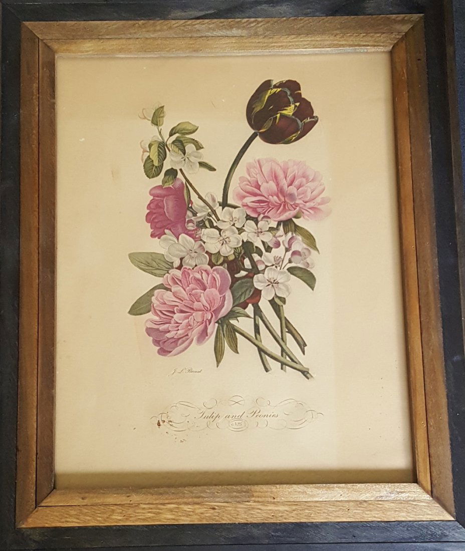 J.L.Prevost (French 1760-1810) Hand Colored Print (1 of 2)