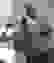 item-74111279=5