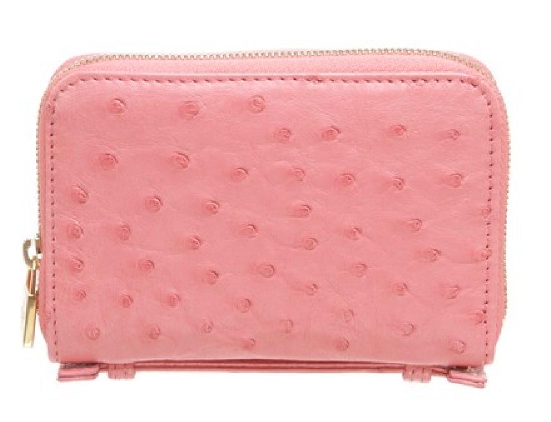 Loro Piana Pink Ostrich Wallet (1 of 6)