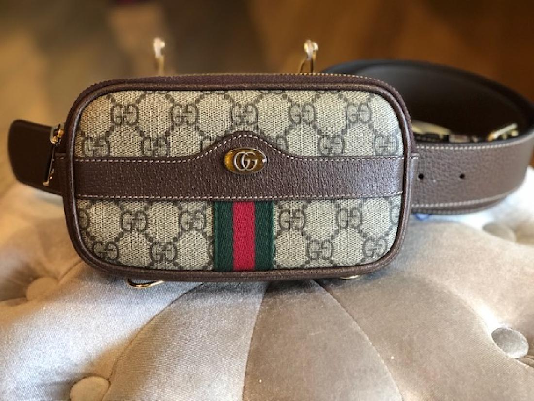 Gucci waist fanny pack (1 of 5)