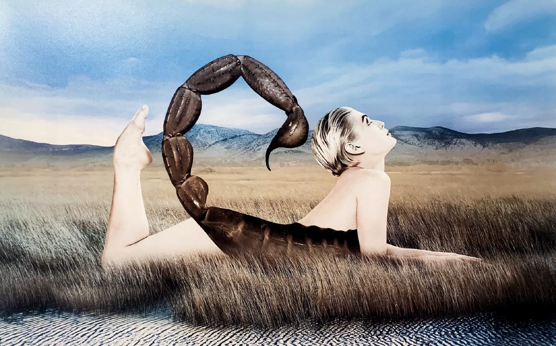 TAN TOLGA DEMIRCI 'Masculin Feminin' Photographic: Tan Tolga Demirci (Istanbul, B. 1974) is an internationally selling surrealist photographic collage artist. Noted for his talent in numerous fields and often compared to the great Salvador Dali. This