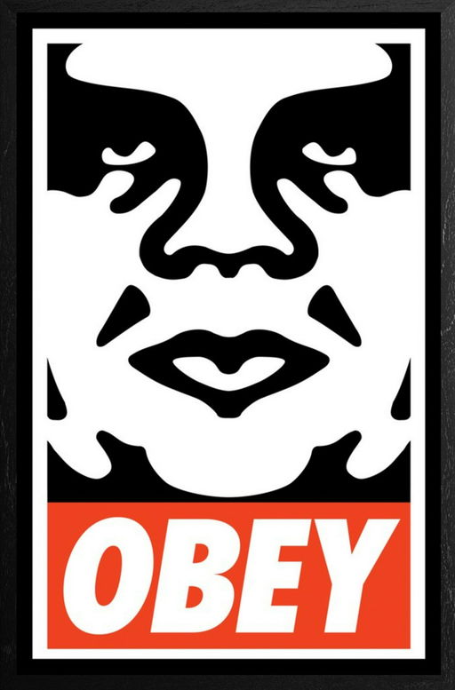 Resultado de imagen para Shepard Fairey
