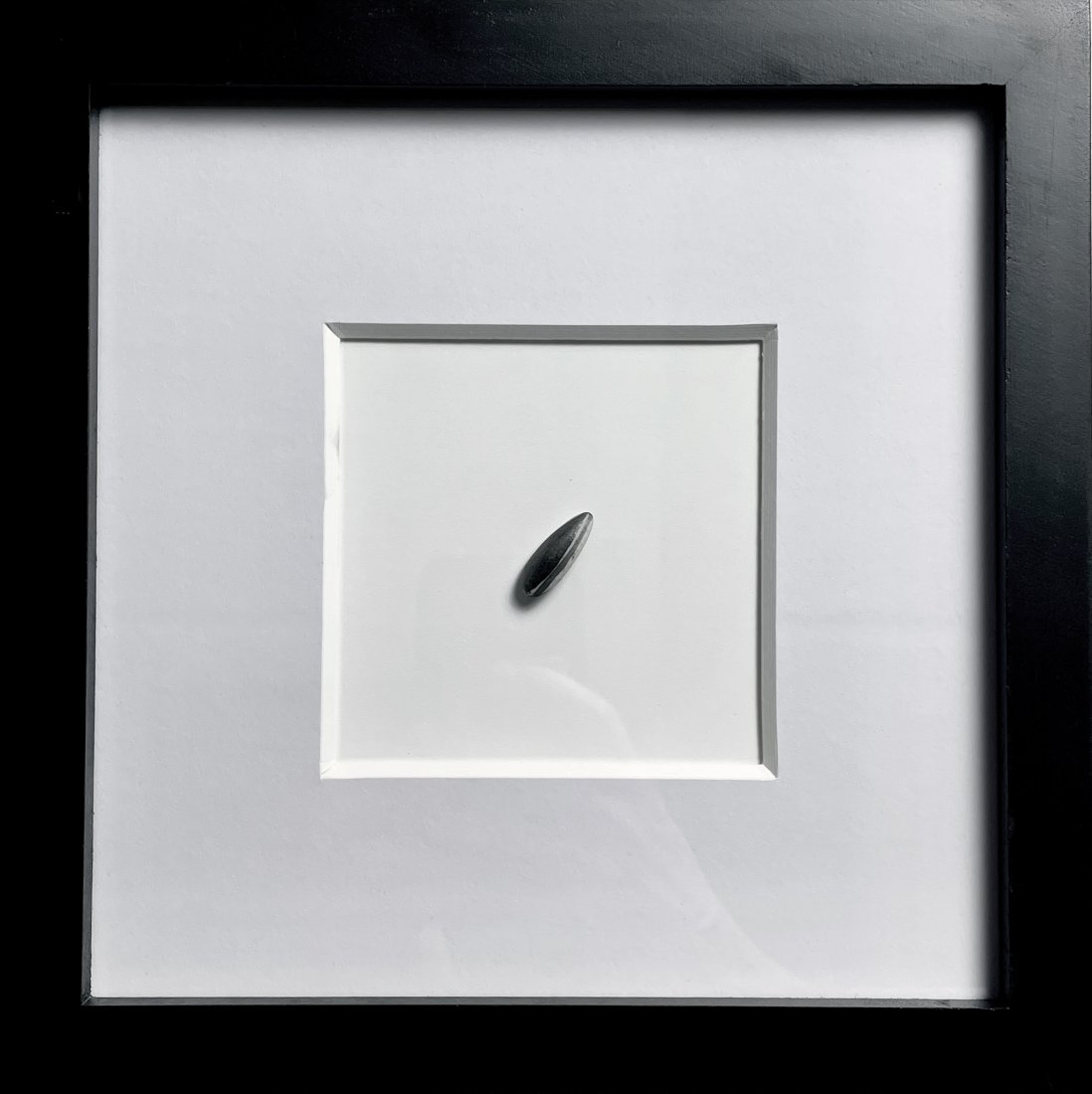 AI WEIWEI 'Sunflower Seed' Hand-Painted Sculpture: 'Sunflower Seed' by Ai Weiwei, 2021 Hand-painted porcelain sunflower seed from the artist's infamous exhibit. Comes mounted on white with black hardwood frame (sunflower seed is NOT glued or affixed t