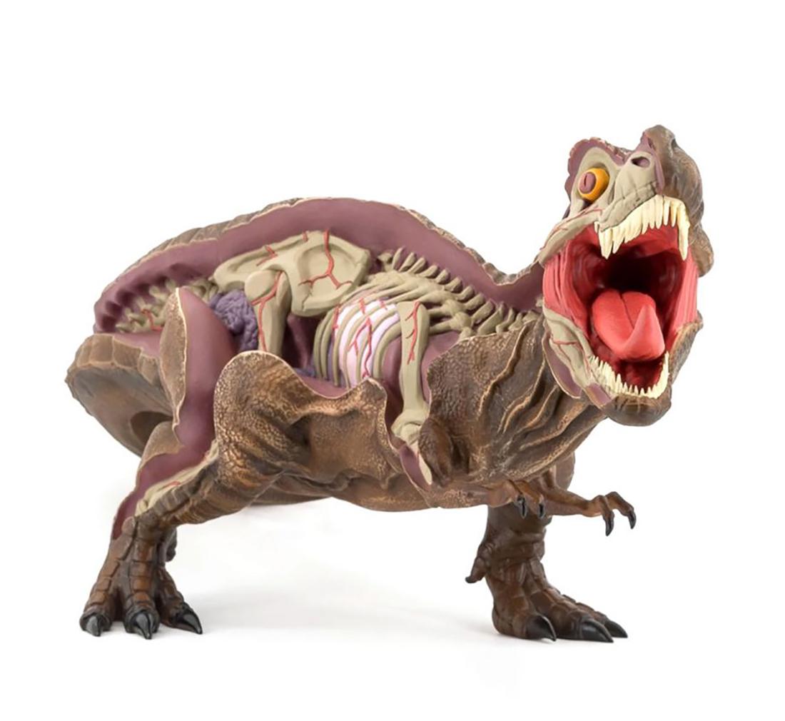 NYCHOS 'Jurassic Park: Dissected T-Rex' Vinyl Art (1 of 10)