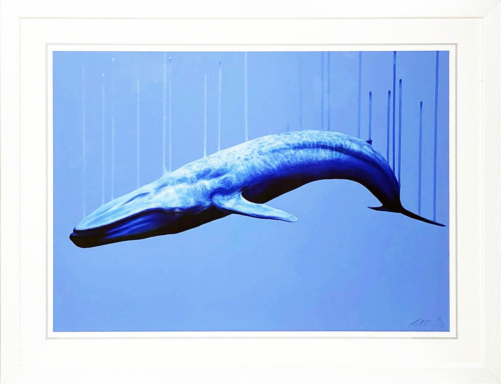 LOUISE McNAUGHT 'True Blue' Giclée Print Framed: 'True Blue' (blue whale) by Louise McNaught, 2018 19.75 x 27.5 Inches (print) 26 x 34 x 1 Inches (framed) Full-bleed giclée print on hand-pulled 300gsm Somerset Velvet fine art paper with deckled