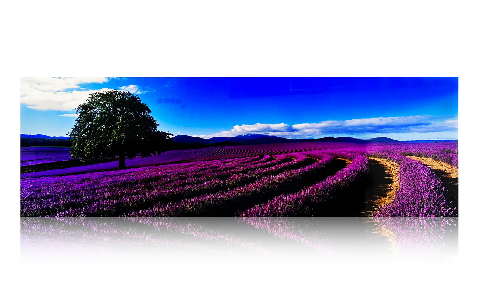 PETER LIK 'Lavender Sea' (2015) Nature Photography Acrylic Print (1 of 7)