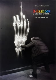 SHOK-1 x Pictures on Walls 'X-Rainbow' (2013) Gallery Show Poster