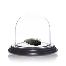 AI WEIWEI 'Sunflower Seed' (2010) Individual Hand-Painted Seed Sculpture