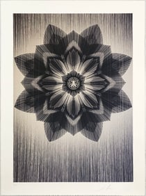 KAI + SUNNY x SHEPARD FAIREY 'Obey x Kai + Sunny' (2013) Rare Screen Print
