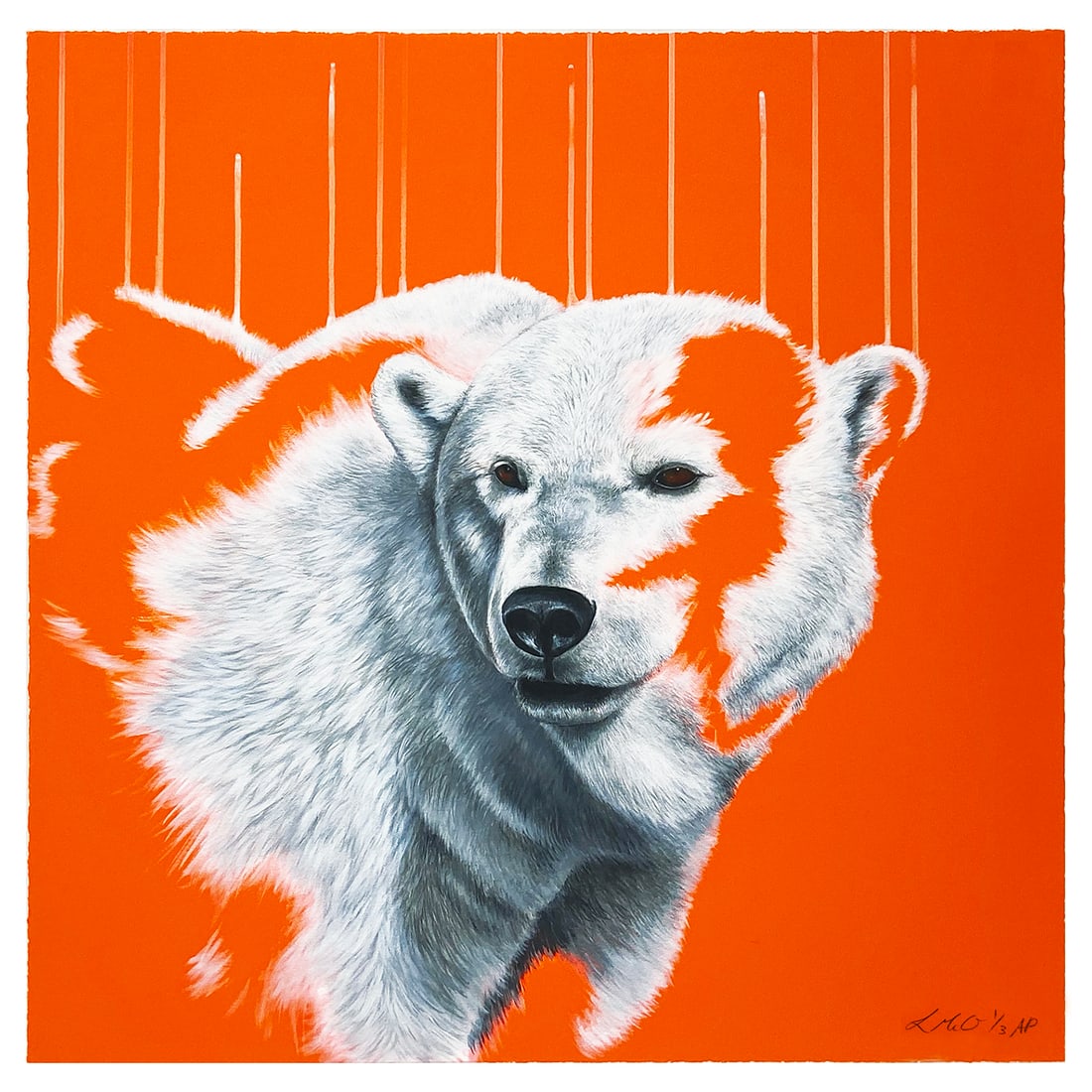 LOUISE McNAUGHT 'Northern Light' (2018) Giclée Print (AP): Northern Light' by Louise McNaught, 2018The artist's breathtaking portrait of the critically-endangered and majestic Polar Bear.23.6 x 23.6 Inches60 x 60 CentimetersFull-bleed giclÃ©e print