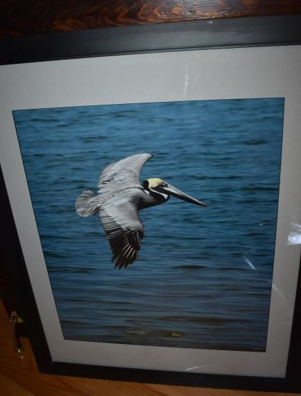 Signed & Numbered WYLAND Pelican Litthgraph Framed: A Signed and Numbered Wyland Pelican Lithograph, measures 33" x 27" framed, numbered 106/450.
