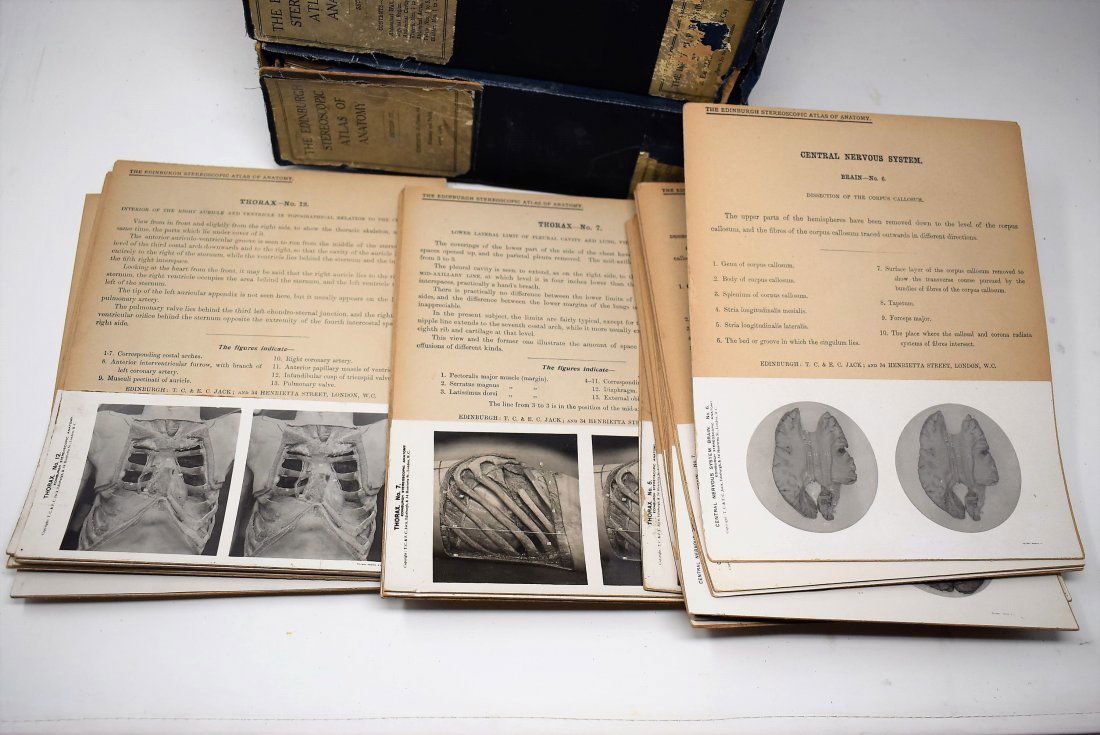 The Edinburgh Stereoscopic Atlas of Anatomy 5 - Volumes (1 of 3)