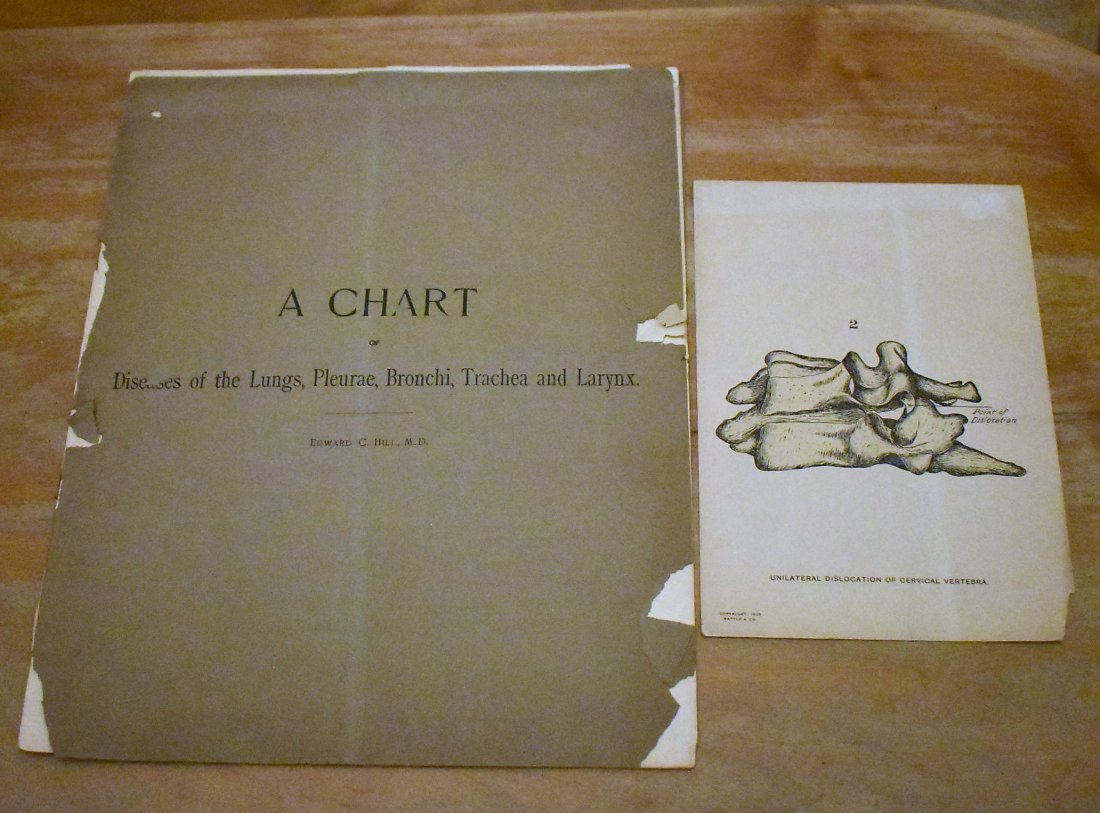 Lot of misc. Medical  Book, Prints (1 of 4)