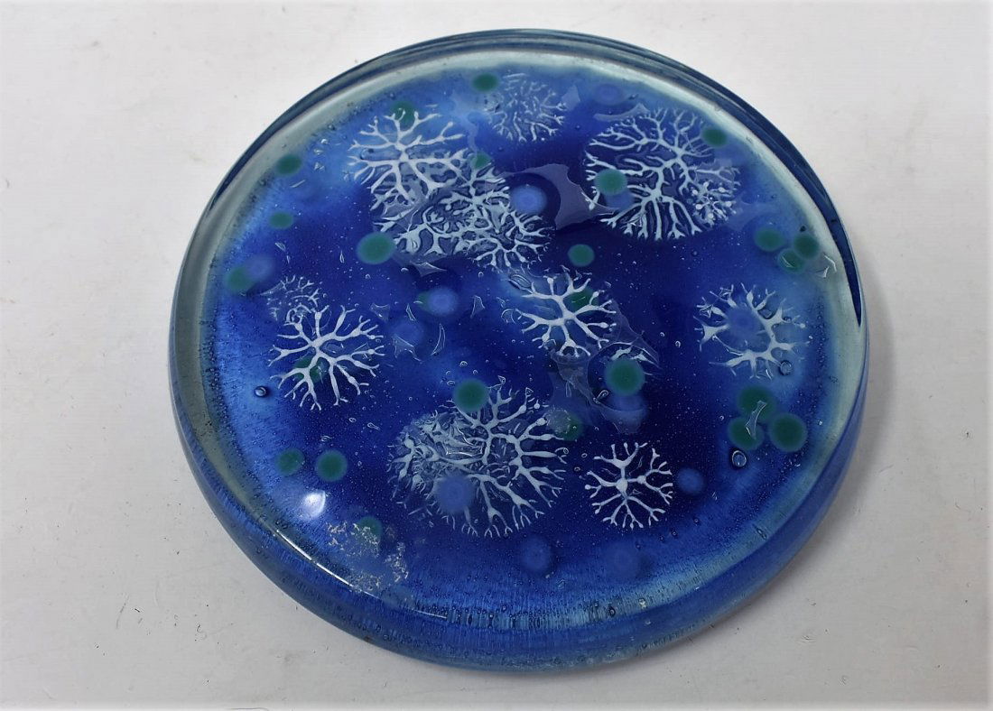 Higgins Glass Paperweight (1 of 3)