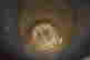 item-106245299=6