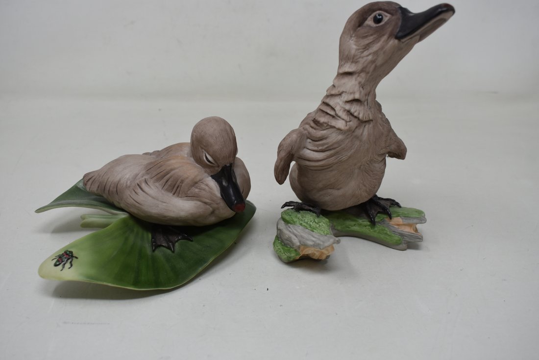 Pair of Boehm Porcelain Ducks: A Pair of Boehm Porcelain Ducks. They measure approx. 8" x 6" x 6" and come in excellent condition.