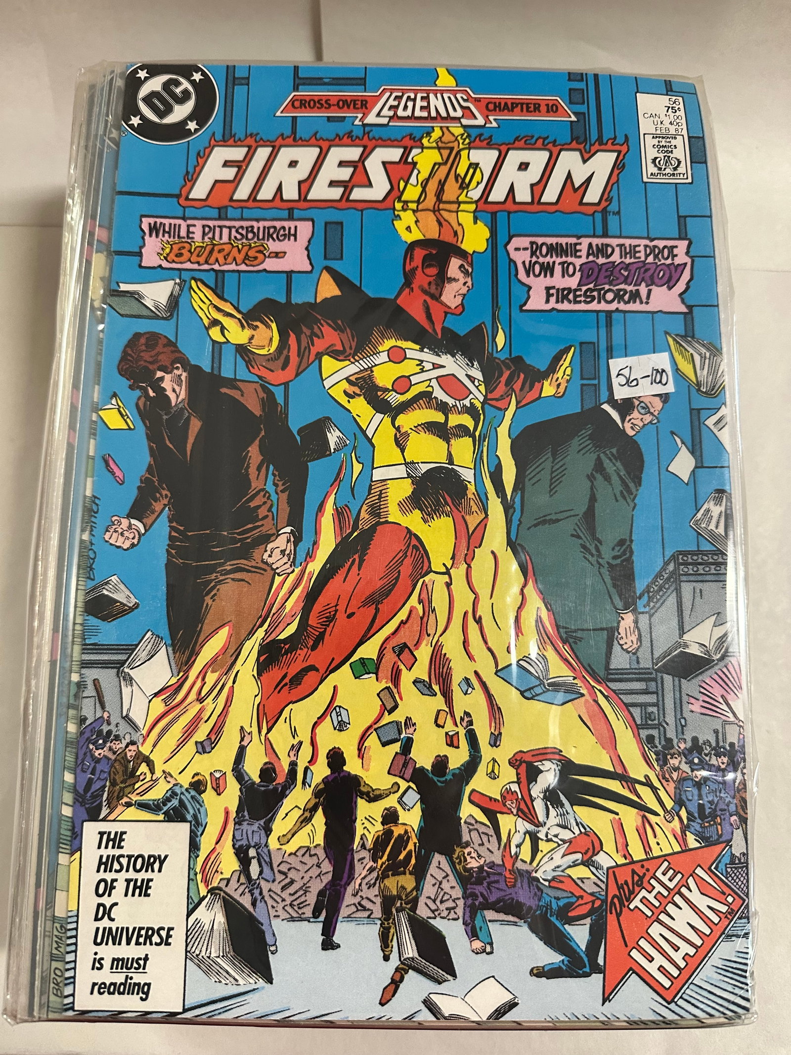 Firestorm #56-100: Firestorm #56-100 -Comic Book lot Looks in overall Nice shape, Issue condition May Very- average condition should be Mid-grade - These are Blocked up so Individual Photos of single issues will be impo
