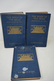 "The Book of The Dead Papyrus of Ani" E.A. Wallace Budge 3 Volume Set