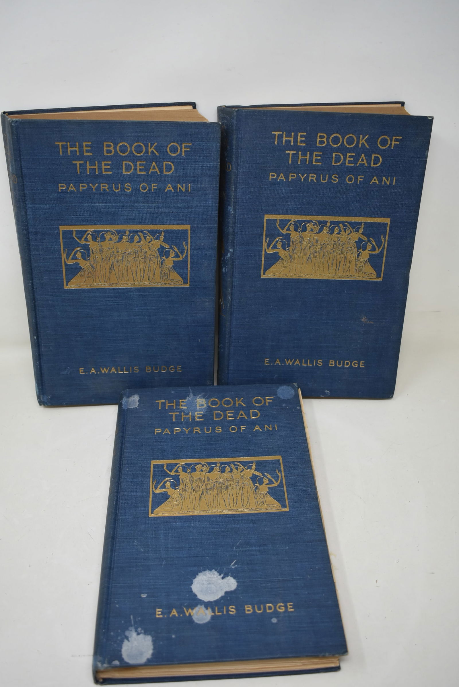 "The Book of The Dead Papyrus of Ani" E.A. Wallace Budge 3 Volume Set (1 of 9)