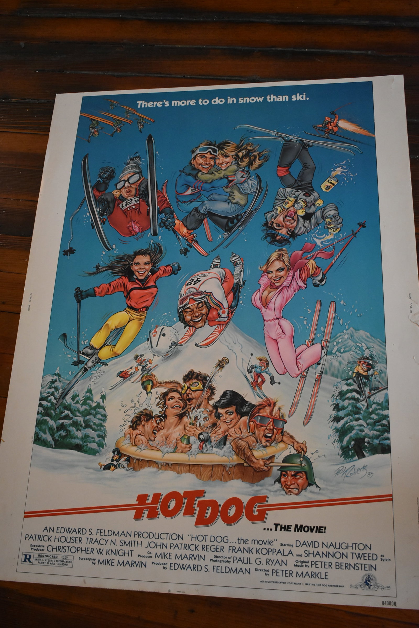 Hot Dog The Movie 1983 Original 1 Sheet Movie Theatre Poster 41x27 (1 of 5)