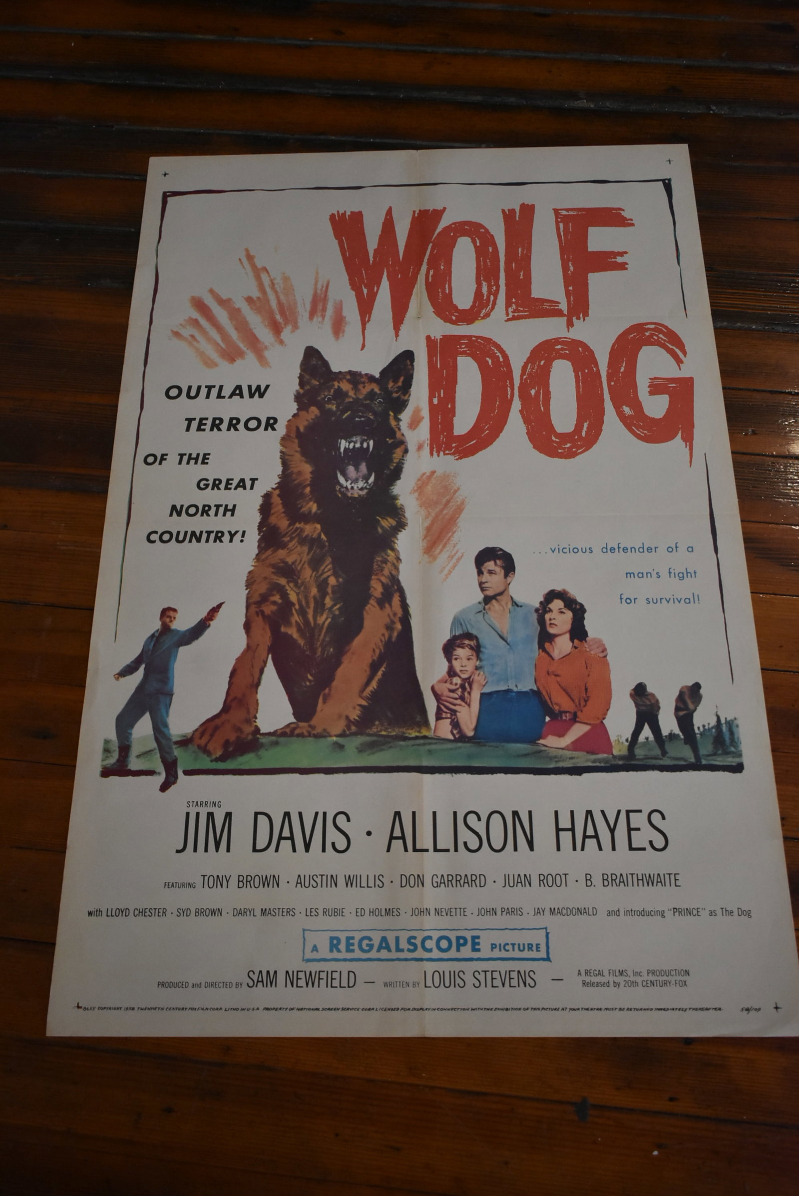 1958 Wolf Dog Original 1 Sheet Movie Theater Poster 41 x 27: 1958 Wolf Dog Original 1 Sheet Folded Movie Theater Poster 41x27. In good condition with some light edge wear. Will be rolled for shipping.