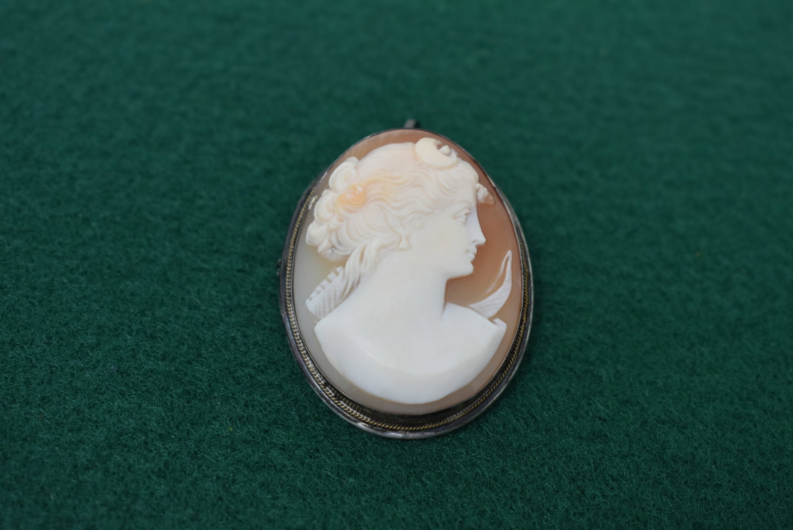 Vintage Sterling Silver Shell Cameo Brooch/Pendant (1 of 3)