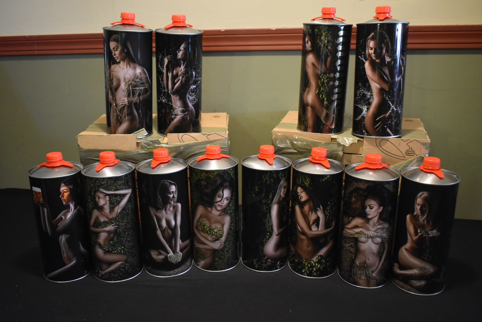 Set of 12 Svijany 2024 Sexy Girls Czech Beer 2 Liter Cans in Original Shippers (1 of 7)