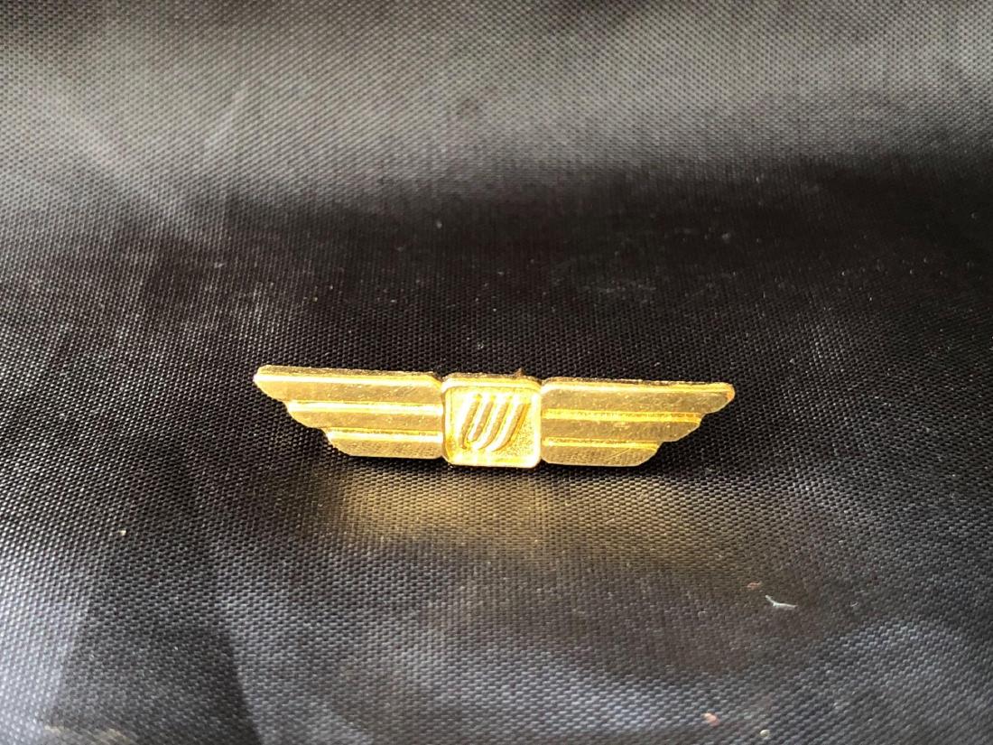 United Airlines Wings Pin (1 of 3)