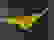 item-66709523=2
