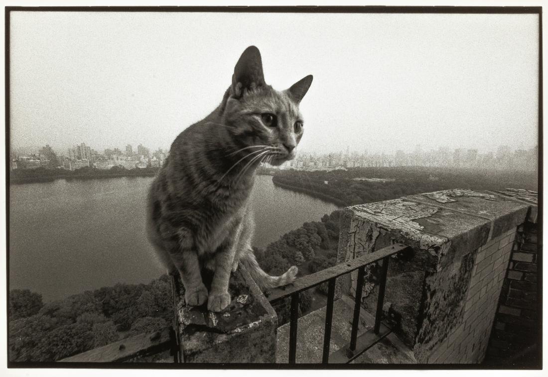 BRUCE DAVIDSON (* 1933) Central Park, New York City: Vintage silver print 22 x 32,4 cm Signed by the photographer in pencil on the reverse LITERATURE Bruce Davidson, Central Park, New York 1995, s.p. The buyers premium for all items exported out of E.C.