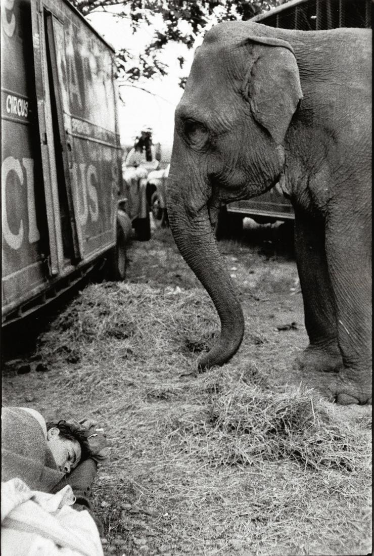 BRUCE DAVIDSON (* 1933): BRUCE DAVIDSON (* 1933) | Girl on a blanket smoking (from ‘Brooklyn Gang’), New York City 1959 | Gelatin silver print, printed c. 2000 | 21 x 31,2 cm | Signed by the photographer in pencil