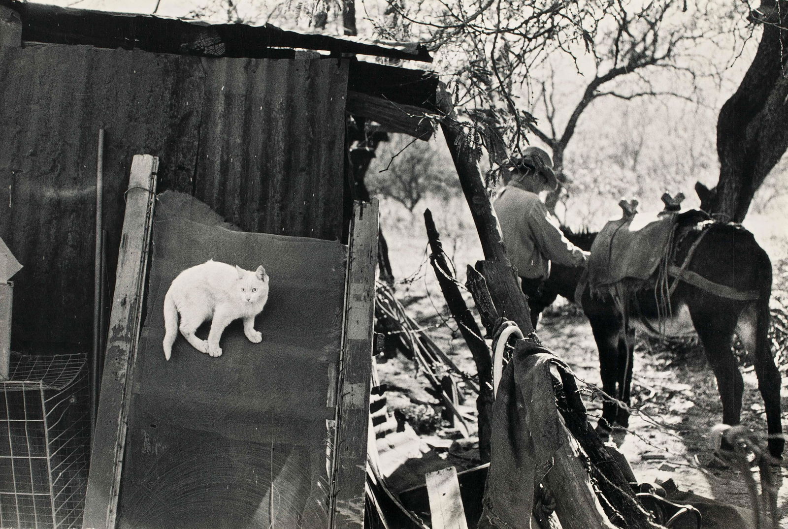 BRUCE DAVIDSON (* 1933): BRUCE DAVIDSON (* 1933) | Mining Town, USA 1957 | Vintage silver print, double-weight semi-matte paper, excellent condition 22,5 x 33,9 cm Photographer’s typographic credit stamp with date and h