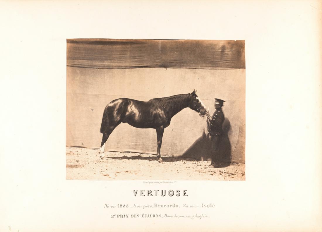 ADRIEN TOURNACHON - NADAR JEUNE (1825–1903) (1 of 1)