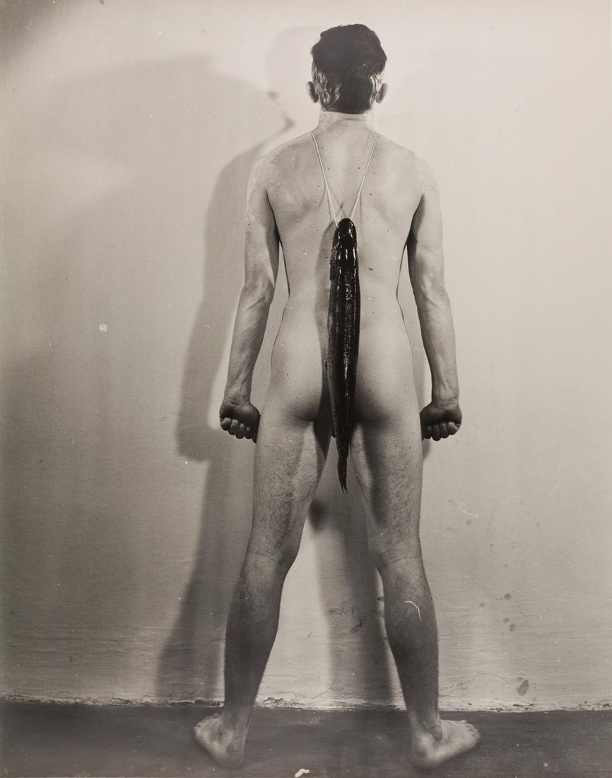 RUDOLF SCHWARZKOGLER (1940–1969) (1 of 2)