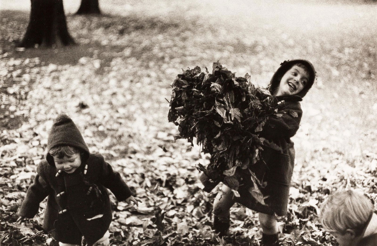BRUCE DAVIDSON (*1933): BRUCE DAVIDSON (*1933) | Children playing in the foliage, from ‘England/Scotland’, London 1960 Image Size: 18,3 x 27,7 cm English: Vintage silver print, double-weight semi-matte paper, in