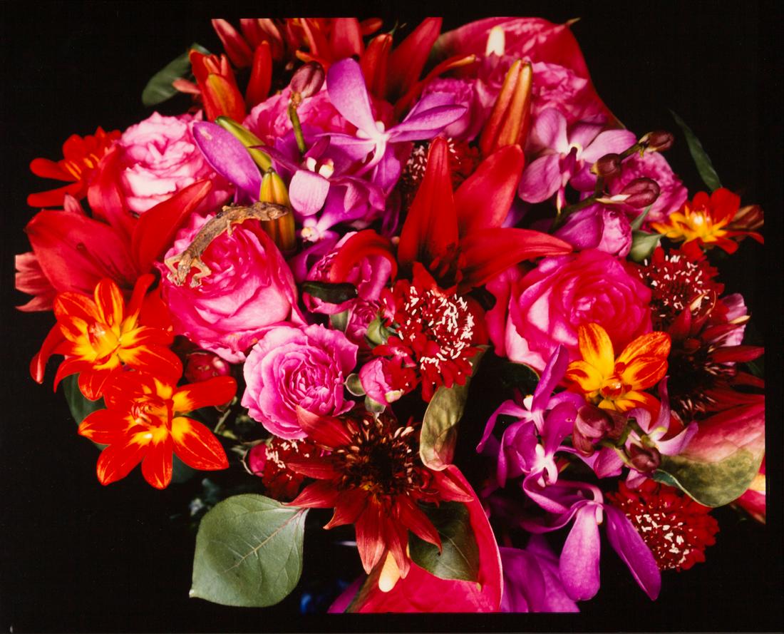 NOBUYOSHI ARAKI (*1940) (1 of 1)