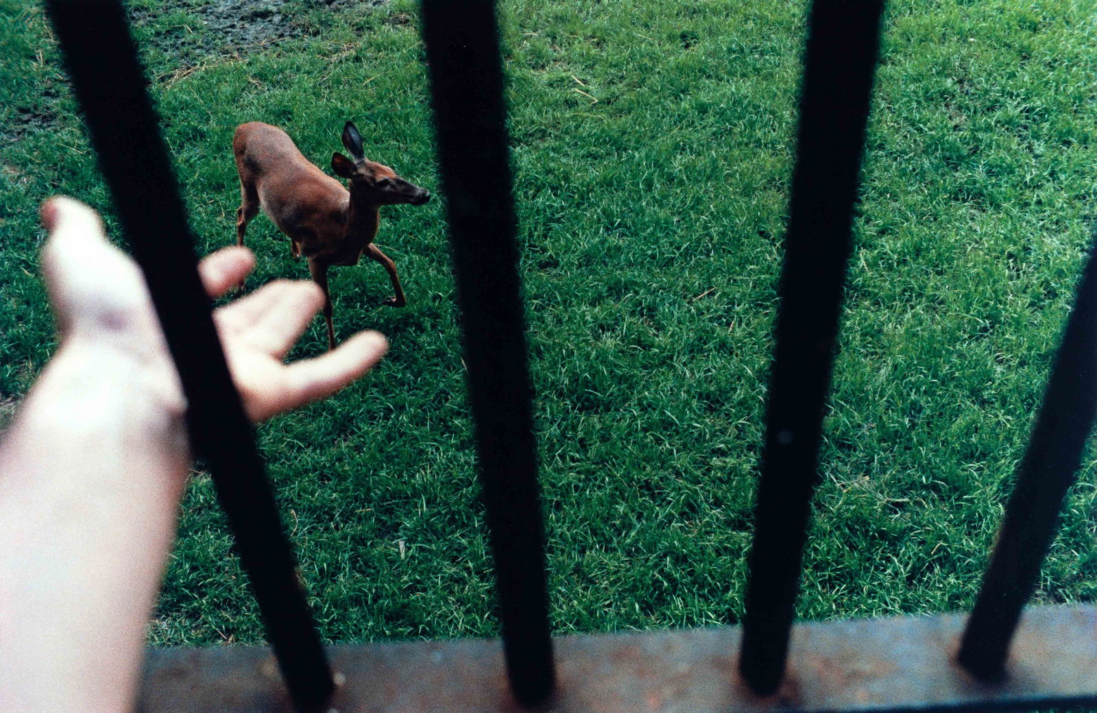EUGENE RICHARDS (*1944): EUGENE RICHARDS (*1944) | Hospital for the criminally insane, Lima, Ohio 1982 Image Size: 44,9 x 68,2 cm English: Dye transfer print, printed in 1989 on semi-matte paper 52 x 75,5 cm, in excellent con