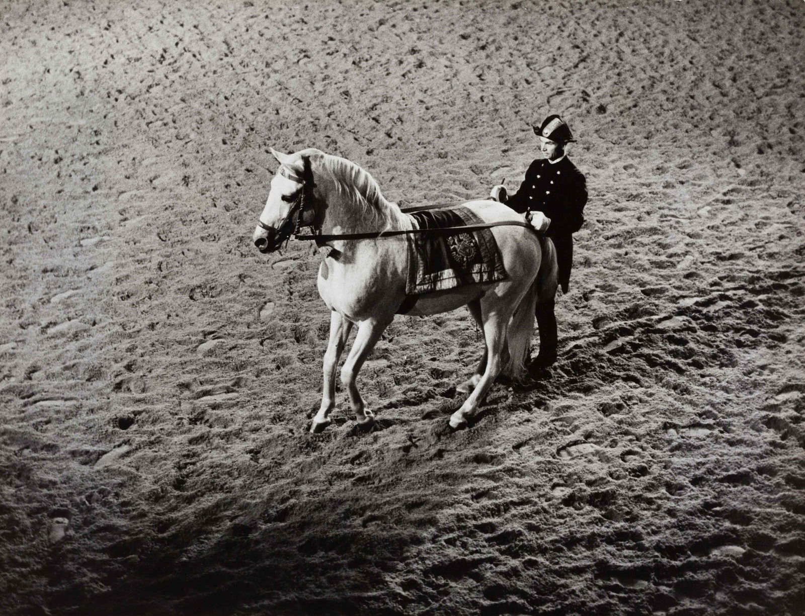 KARL F. SCHUSTER | Spanish Horse Riding School Vienna, 1955 (1 of 1)