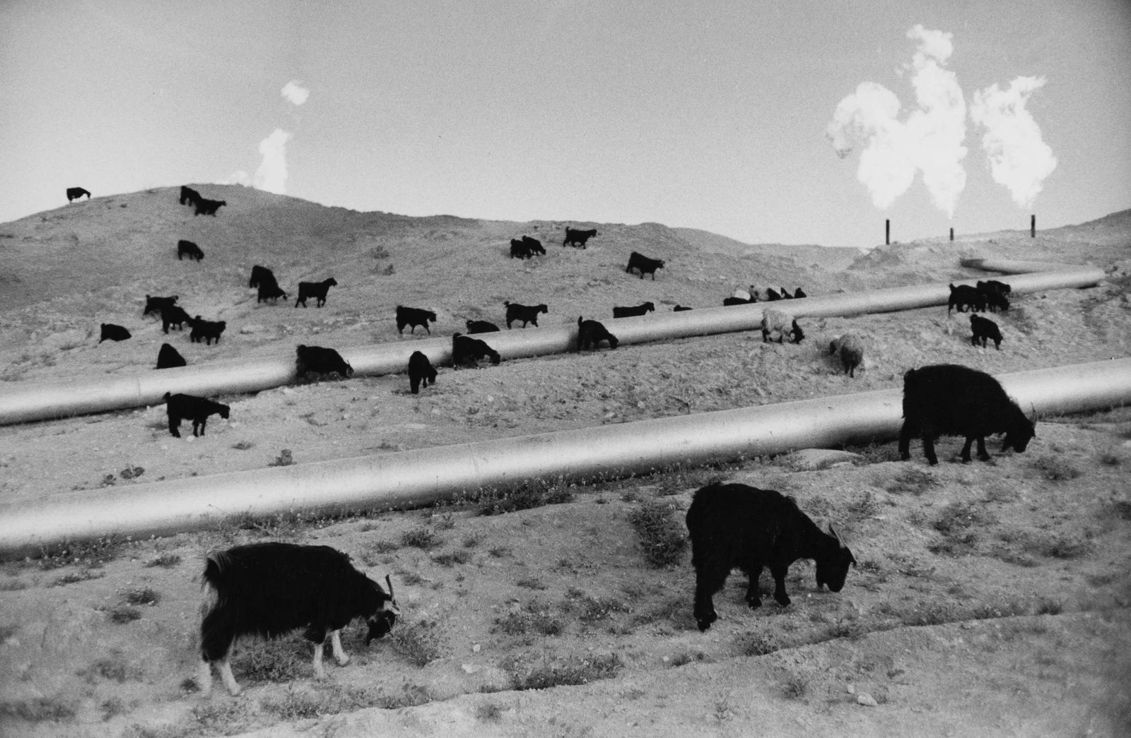 MAX SCHELER (1928–2003) | Iran, 1967: Vintage print, 19 x 29 cm, stamped