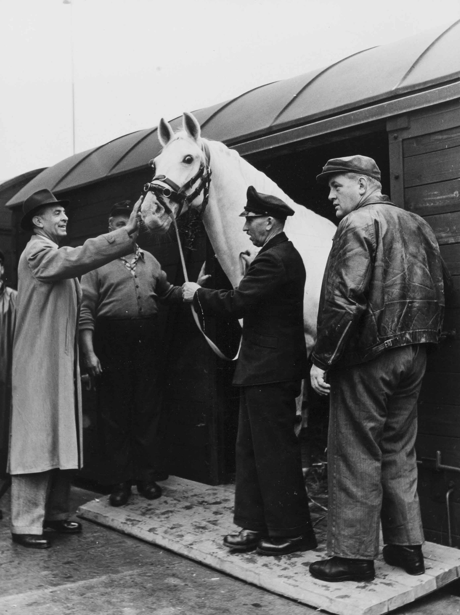 KARL F. SCHUSTER | Alois Podhajsky, Spanish Horse Riding School Vienna, 1955: Vintage print, 24 x 18 cm, stamped