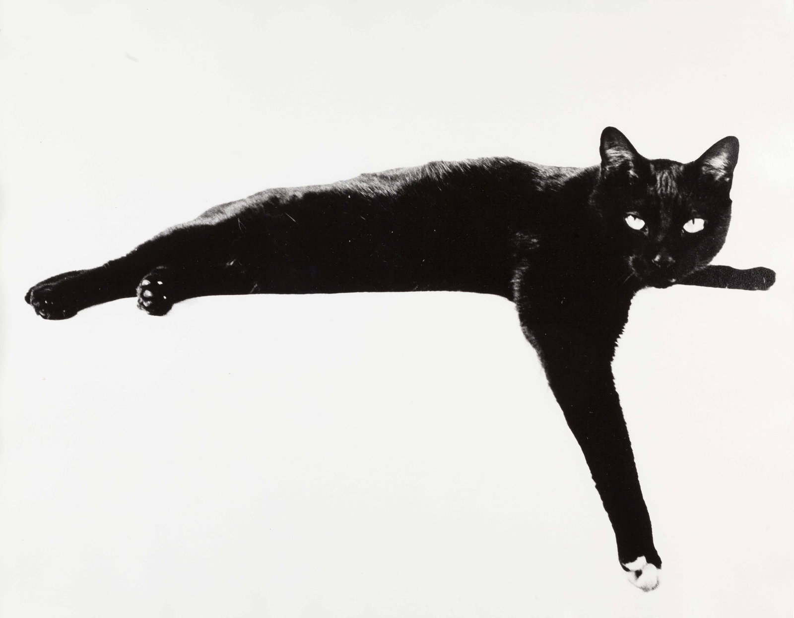 ROLAND PLETERSKI (1920–2000) (1 of 2)