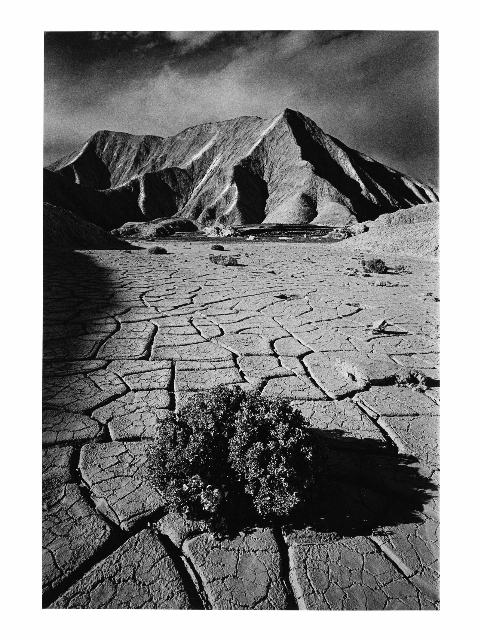 JEANLOUP SIEFF (1933–2000) - 2