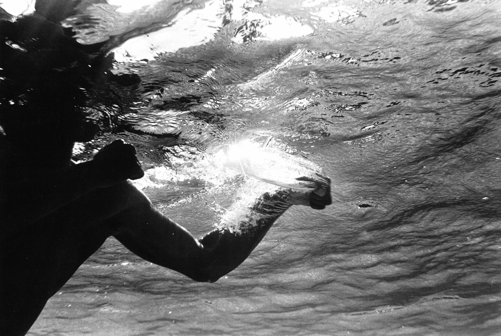 FLIP SCHULKE (1930–2008): FLIP SCHULKE (1930–2008) | Muhammad Ali boxing under water, Miami 1961 Image size: 21.3 x 31.8 cm English Gelatin silver print, printed in the 1990s on double-weight semi-matte paper c. 28 x 35.