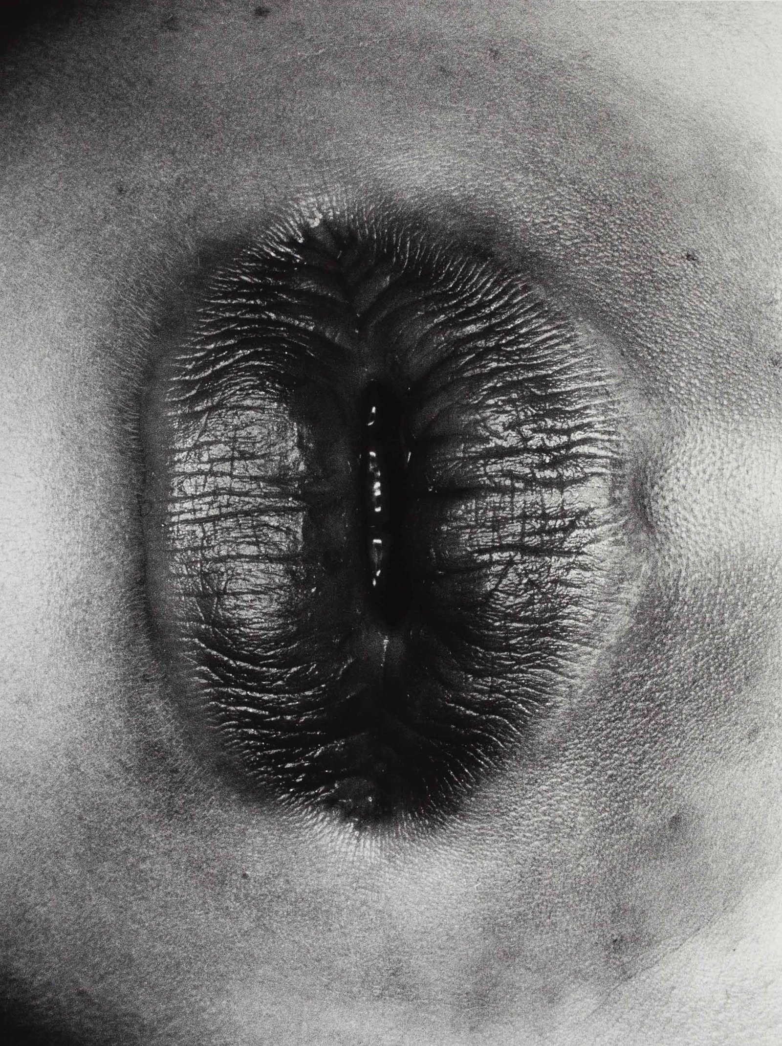NOBUYOSHI ARAKI (*1940): NOBUYOSHI ARAKI (*1940) | From the series 'Erotos', Japan 1993 Image size: 57.8 x 43.4 cm English Gelatin silver print, printed later on double-weight semi-matte paper 60.5 x 50.4 cm, in excellent