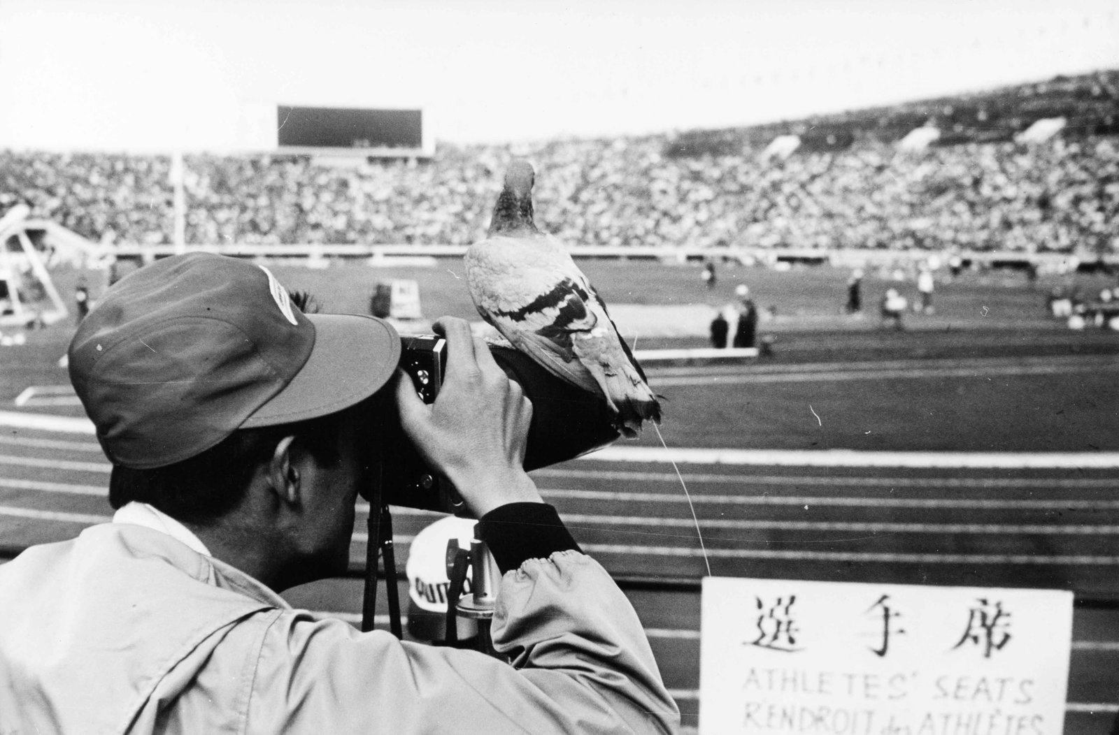 Olympic Games Tokyo, 1964 (1 of 1)