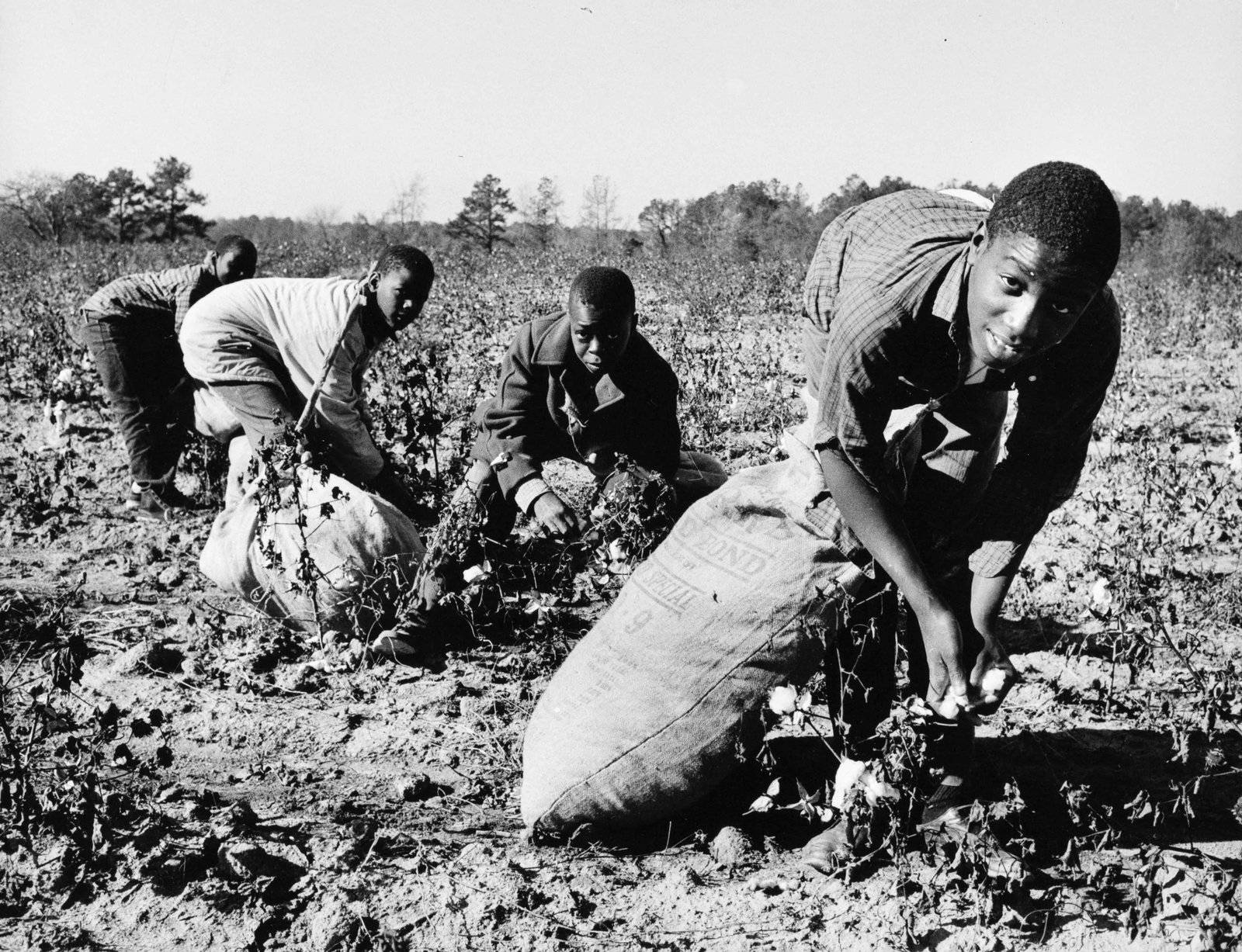 MAX SCHELER | African American life and culture in the US., c. 1965 (1 of 1)