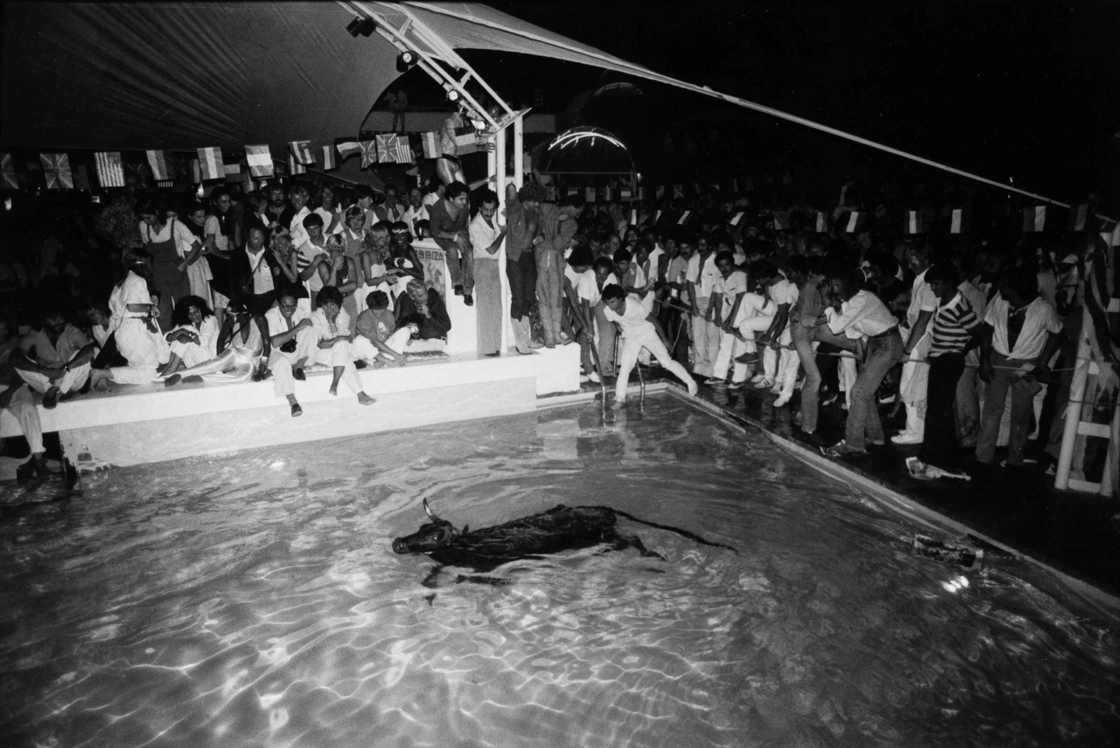 TOM JACOBI | Club Ku, Ibiza, 1981 (1 of 1)