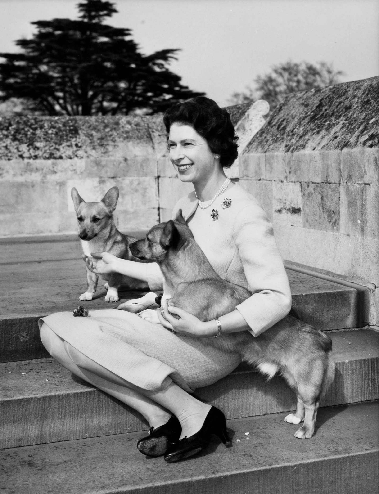 LISA SHERIDAN | Queen Elizabethe II with two of her dogs in the gardens of Windsor Castle, 1962 (1 of 1)